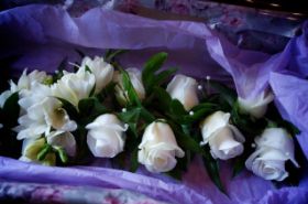picture-7.jpg