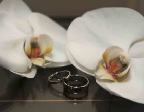 Wedding Rings.jpg