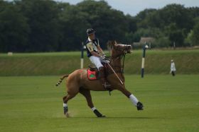 Prince Harry Polo.jpg